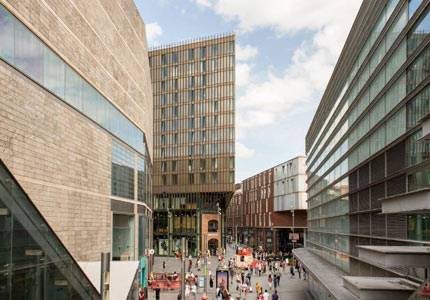 Cove Paradise Street